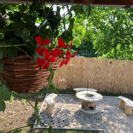 Mormota Vendeghaz Apartment Mezőkövesd Екстериор снимка